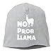 DearLord Funny No Prob Llama - Gorro de punto de tobogán unisex
