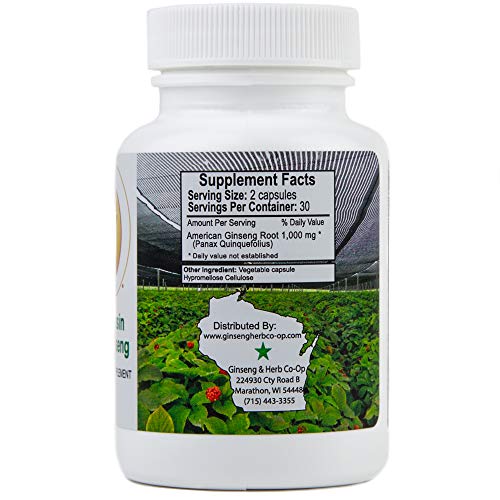 100% Pure Wisconsin American Ginseng Capsules - 500Mg. Authentic Panax Quinquefolius. Potent Ground Ginseng Root - No Fillers, Binders Or Other Additives. #TOP3