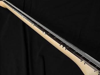 Amazon | SCHECTER PA-LS/TK 凛として時雨/TK モデル シェクター