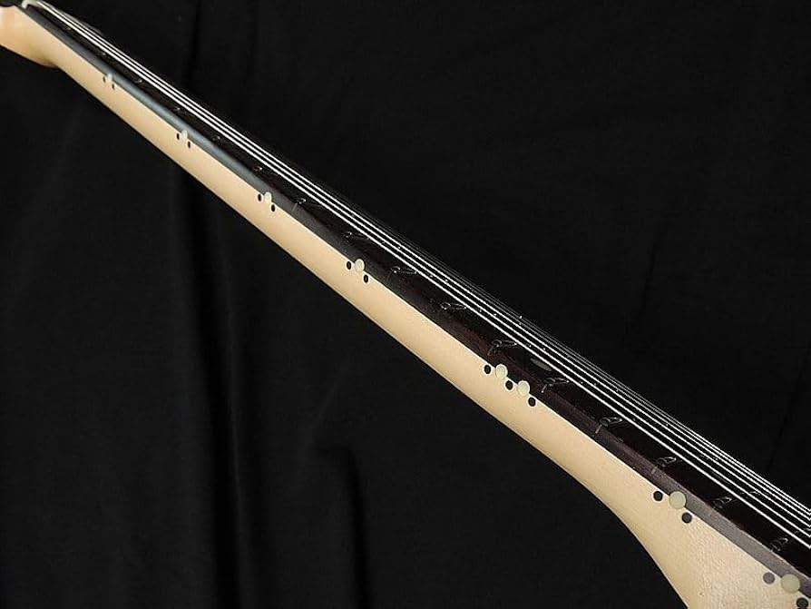 Amazon | SCHECTER PA-LS/TK 凛として時雨/TK モデル シェクター