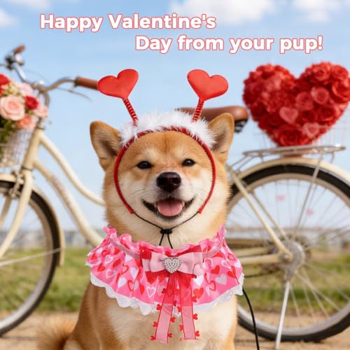 Set Disfraz Valentine para Perros Pequeños y Medianos miniatura 2