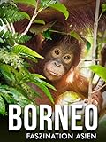 Borneo - Faszination Asiens
