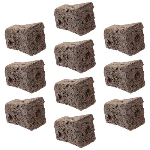 Cabilock 10 Y |pks[gubN y͔|ph{y AcɓKQh~ AڐA