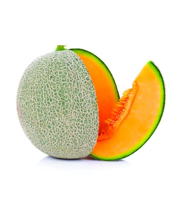 Shamam Fruit (Muskmelon) Fruit Plant Seeds (500 Seeds Packet) Amazon.in Garden & Outdoors