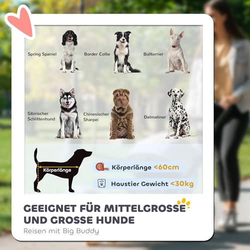 PawHut Hundewagen Hundebuggy mit Netzfenstern, Klappbarer Katzenwagen mit Sicherheitsleine, große Gummiräder für Mittelgroße, Große Hunde bis 30 kg, Oxford, Rot