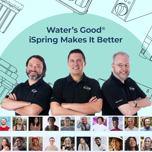 Image of iSpring F2WGB22BPFKS Whole House Water Filter Replacement Set, SGS-Tested to Remove up to 99% PFAS, 2-Stage Filtration Reduces Heavy Metals, Chlorine, Hydrogen Sulfide, Fits WGB22B-PFKS