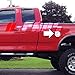 A-PADS (** NOT for replacement click on, JUST overlay Stick on) Compatible with Ford F150 Chrome Gas Door Cover 97 98 99 2000 01 02 2003 / F250+F350 SuperDuty 1999-2010 - Chromed Tank Fuel Door Cover