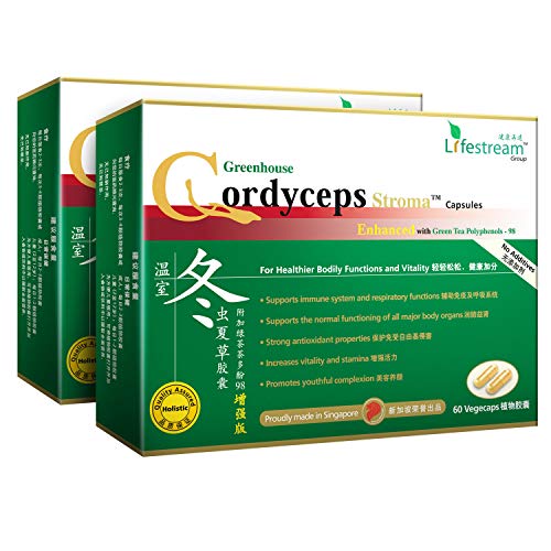 Lifestream Greenhouse Cultivated Cordyceps Stroma â€“ Singapore #1 Medicinal Mushroom Supplement with Tea Polyphenols- High in Cordycepin- for Immunity, Energy, Stamina - No Fillers, 2x60 Capsules