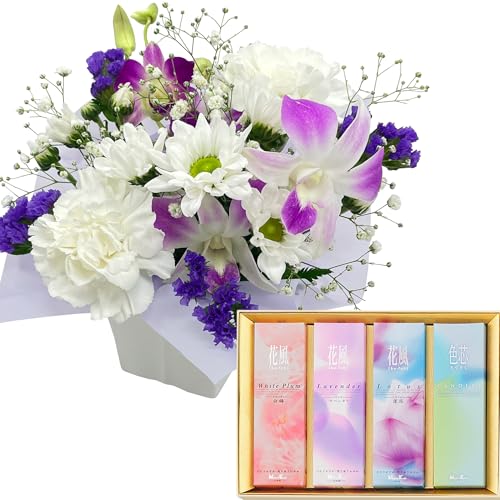 Ԃ̃Mtg      Ȃ   ފ ~  