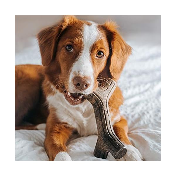 Benebone Bacon Stick Durable Dog Chew Toy for Aggressive Chewers, Real Bacon, Made in USA, Medium Benebone Bacon Stick Durable Dog Chew Toy for Aggressive Chewers, Real Bacon, Made in USA, Medium