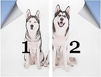 Vista 5 de Película de privacidad para ventana, color blanco y negro, calcomanías para ventanas manchadas, adhesivo estático para ventana, calcomanía