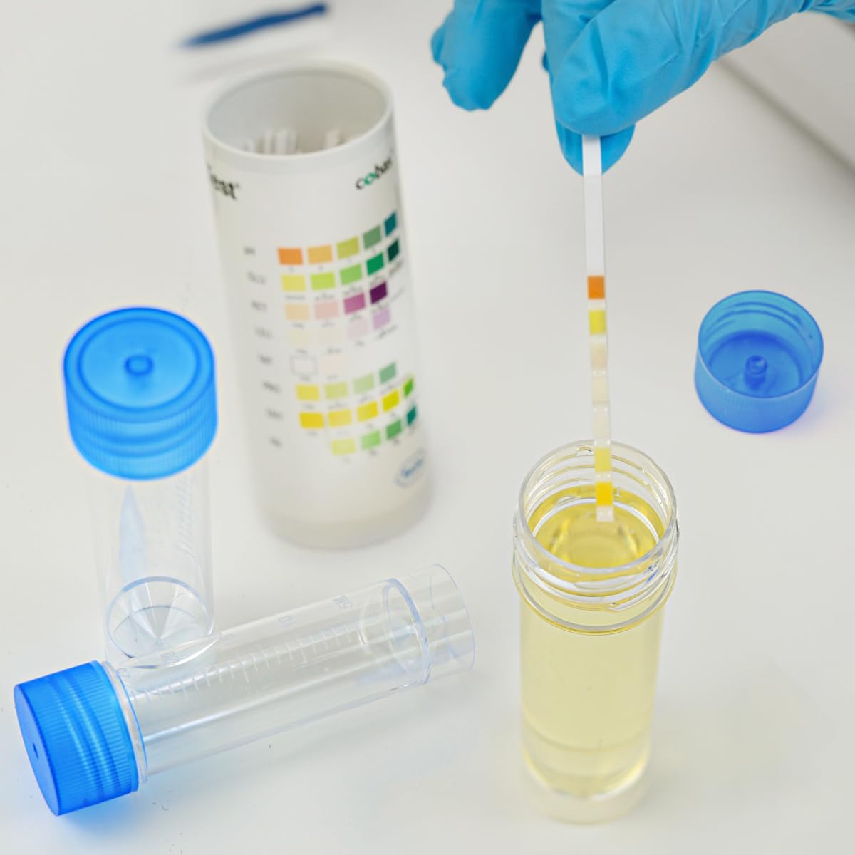 12er-Set Einweg-Stuhlprobenröhrchen Mit Deckel – Auslaufsicher, 25 Ml, Für Medizinische Tests, Labor & Krankenhaus