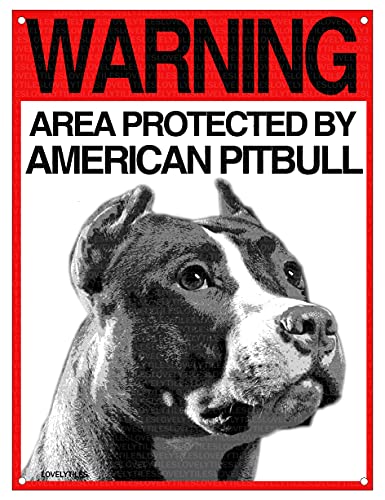 BOSTON TERRIER Attenti al cane morde sbrana uccide e balla sui cadaveri