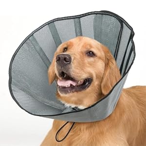 Soft Dog Cone Collar for Extra Large Dogs, Dog Cone Alternative After Surgery, Adjustable Protective Pet Recovery Collar, Lightweight Rounded Collar to Stop Licking Soft Dog Cone Collar for Extra Large Dogs Dog Cone Alternative After Surgery Adjustable Protective Pet Recovery Collar Lightweight Rounded Collar to Stop Licking