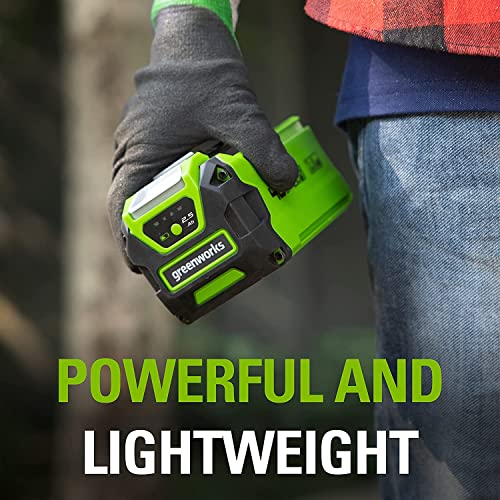 Greenworks 40V 2.5Ah Lithium-Ion Battery (Genuine Greenworks Battery) #TOP2