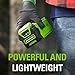 Greenworks 40V 2.5Ah Lithium-Ion Battery (Genuine Greenworks Battery / 75+ Compatible Tools)