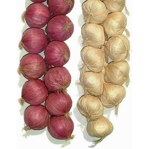 Lihou 2 x 20 Decorative Onion & Garlic Strings Cover