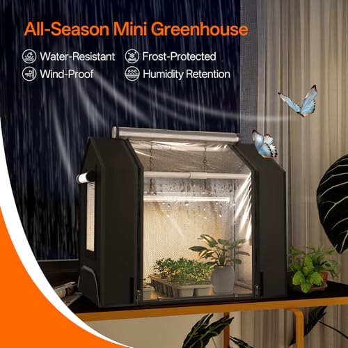 Bstrip Indoor Greenhouse Tent