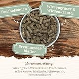Krauterie Wildkräuter Pferdeleckerlis in Spitzenqualität (1000 g), naturbelassen, Pferde Leckerli fürs tägliche Training und zum Clickern, aus Liebe zu Deinem Pferd