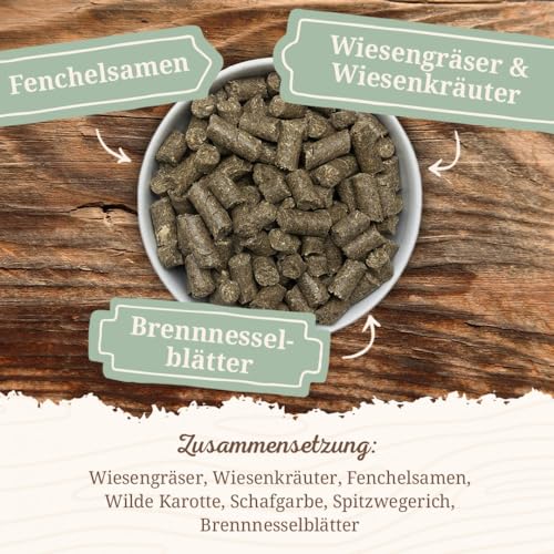 Krauterie Wildkräuter Pferdeleckerlis in Spitzenqualität (1000 g), naturbelassen, Pferde Leckerli fürs tägliche Training und zum Clickern, aus Liebe zu Deinem Pferd