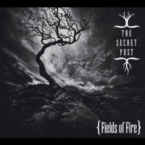 Amazon.com: Fields of Fire [Explicit] : The Secret Post: Digital Music