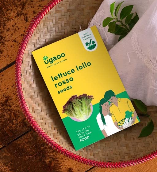See full amazon price history chart for UGAOO Lettuce Seeds - Lollo Rosso Vegetable Seeds (Green, Pack of 1g) UGAOO Lettuce Seeds - Lollo Rosso Vegetable Seeds (Green, Pack of 1g) (B0BN5YL5ZZ) Amazon Price History, Amazon Price Tracker