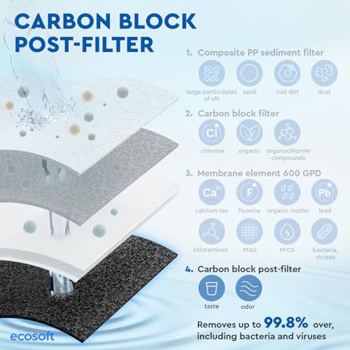 Ecosoft CB Filtre à bloc de carbone post-filtre pour fi...