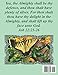 Bible Word Search Extra Large Print Old Testament Volume 77: Job #3 (Bible Word Search Puzzles For Adults Jumbo Print Butterfly Edition)