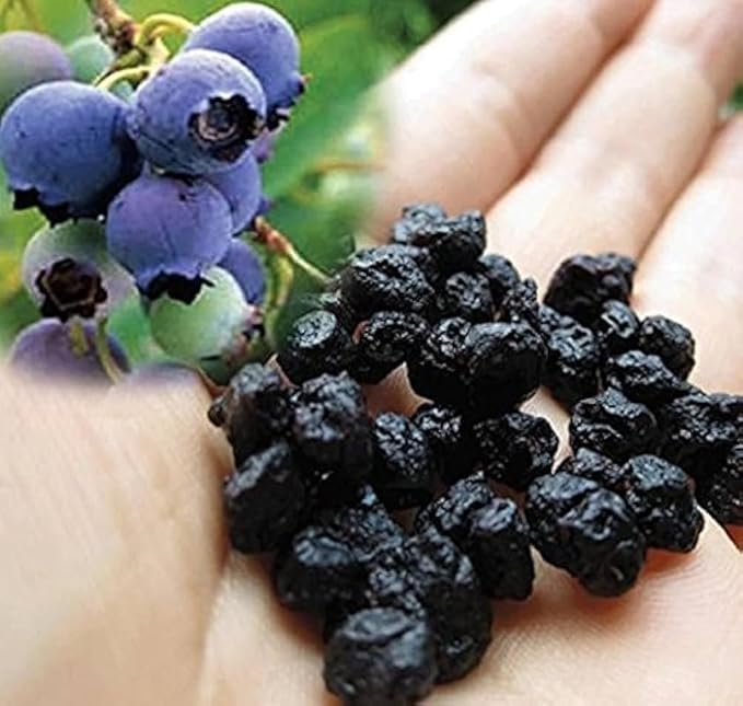 Image of FROZEN NUTS Premium Dried Blueberries | Sweet & Juicy Natural Berries | Rich in Antioxidants | Healthy Snack for Kids & Adults | Ideal for Snacking, Smoothies, Baking & Desserts (100g)