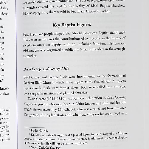 Baptist Political Theology