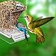 3 PCS Automatischer Futterspender Für Vögel,Automatischer Futterspender Vogel,Acryl Futterautomat,Futterspender Aus Acryl,Mit Schaukel Und Pfefferholz Für Klein Papageien Nymphensittiche Finke
