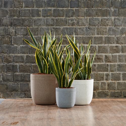 Image of Harshdeep Roto Pots 12 Inch - Milano - Indoor Outdoor Home Living Room Balcony Garden Decorative Big Size Planter, Light Weight and Durable UV Resistant (Grey Stone)