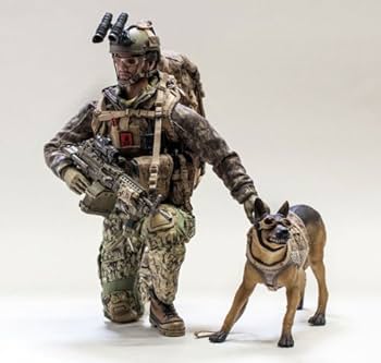 Amazon | エリートフォース SEAL TEAM SIX アメリカ海軍対テロ