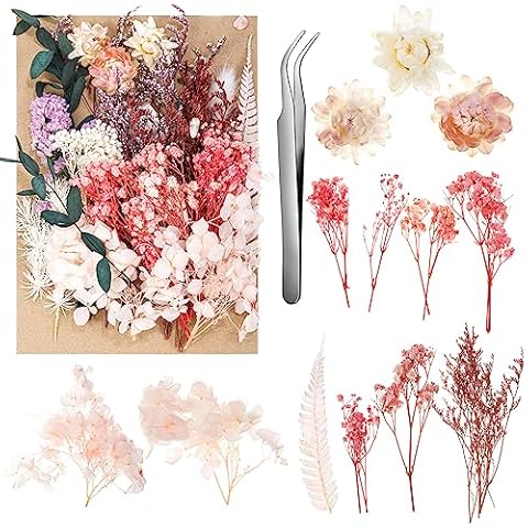 aurorayer Fleurs Séchées Naturelles Cover