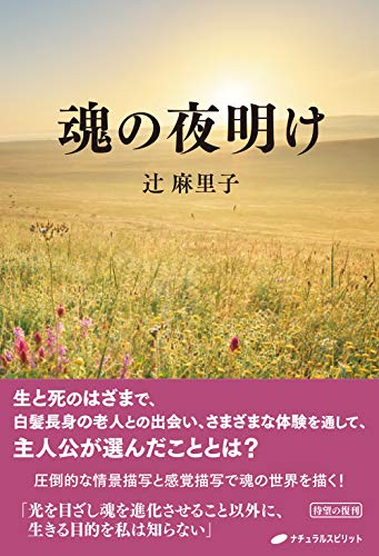 PDFダウンロード 魂の夜明け バイ