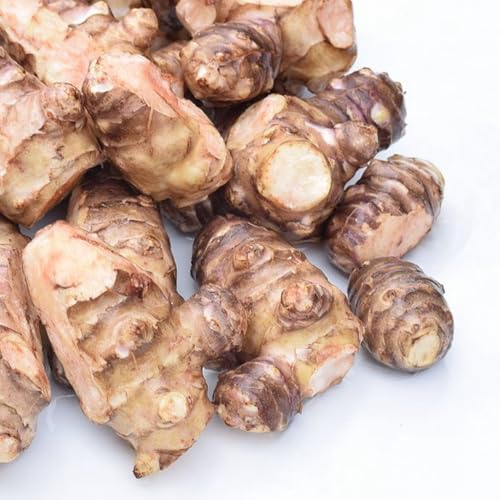 ͔|Ԓ_sgp  e 2kg ̃TCY (3cm`6cm) XY 󂠂 s ς e  LNC