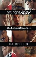 Mr. Right Now, Vol. 1-5 1517493811 Book Cover