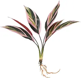 Plantas artificiais de araruta verde, plantas falsas em vasos, ornamentos de bonsai plantas de plástico de bambu falso decoração de jardim para casa (6 folhas de araruta coloridas)