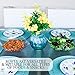 PLASTICPRO Disposable 64 ounce Square Serving Bowls, Party Snack or Salad Bowl, Large Plastic Crystal Clear Pack of 4