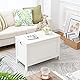 HOOBRO Truhen, Sitzbank mit Stauraum, Spielzeugtruhe mit Deckel, Schuhbank, Sitztruhe, Aufbewahrungstruhe, Robust, Sicherheitsscharniere, Schlafzimmer, Wohnzimmer, 76 cm, Weiß EWT75CW01G1