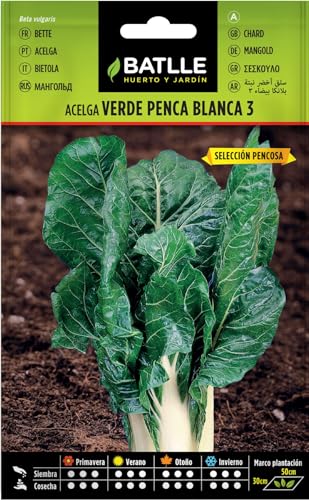Peyca Semillas Horticolas - Acelga Verde De Penca Blanca 3 - Batlle