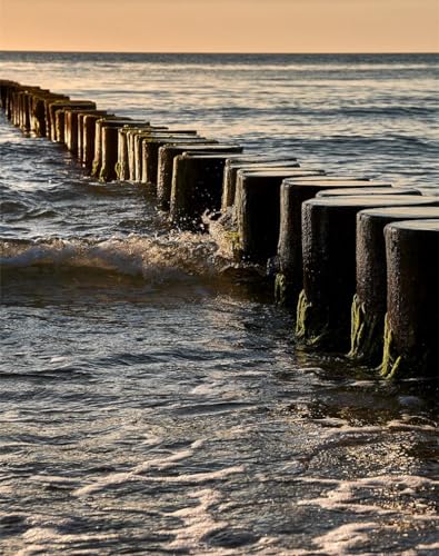THISIT Bricolage Peinture à l'huile sur Toile - Grumes,pilotis,mer-40 * 50cm avec cadre en bois