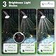 DINGLILIGHTING Wasserdichte Solarleuchten für draußen: IP65 Led Spot Licht Dekorationen für Garten - 3 Beleuchtungsmodi Solarbetrieben für Hof - Landschaft Weg Drive Patios 2PC Weiß