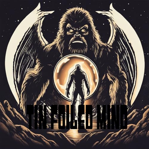 Tin Foiled Mind Titelbild