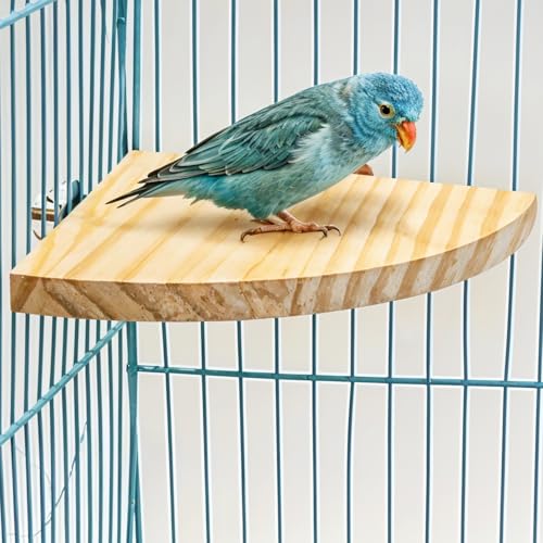 Image of Bird Perch Platform Stand Wooden Parrot Perch Corner 6.7 Inches Fan Shape Playground Cage Accessories Parrot Stand Flat Perches for Bird Cages Corner Shelf for Birds Parrots Hamster Gerbil (Pack of 2)