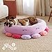 Squishmallows 20-Inch Beula Octopus Pet Bed - Small Ultrasoft Official Squishmallows Plush Pet Bed