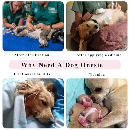 Paiaite Comprehensive Post-Surgery Dog Recovery Suit: Premium Cotton Protective Wound Care Shirt For Puppies thumb #7