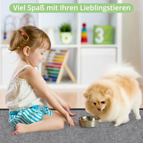 TAIKURA Waschbar Haustier-Urinunterlage, 2er 70*100CM Hundetrainingspad super Saugfähig, rutschfest & Auslaufsicher, Wiederverwendbare Trainingsunterlagen Puppy Pads für Hunde Katzen andere Haustiere