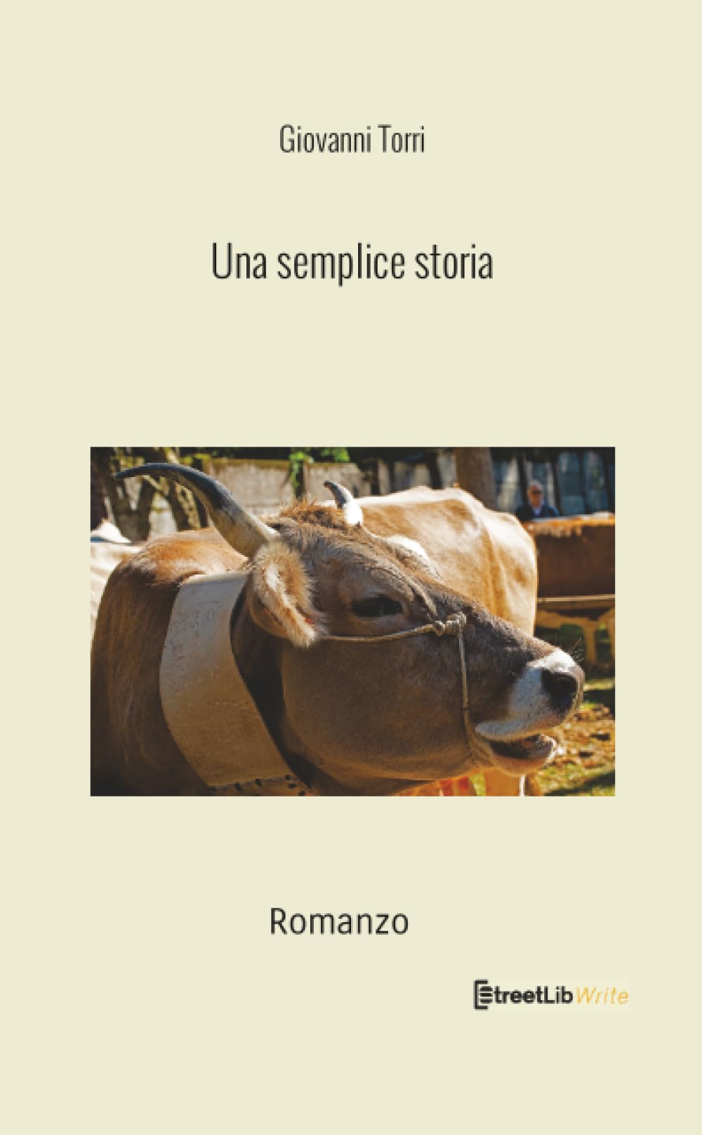 Una semplice storia
