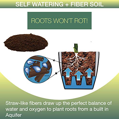 Window Garden – Aquaphoric Self Watering Mini Planter Pots (3 Pack) – Grow On Indoor Sill. Perfect for Potting Small Plants, Herbs, African Violets, Succulents, or Start Seedlings. - Thumbnail 5